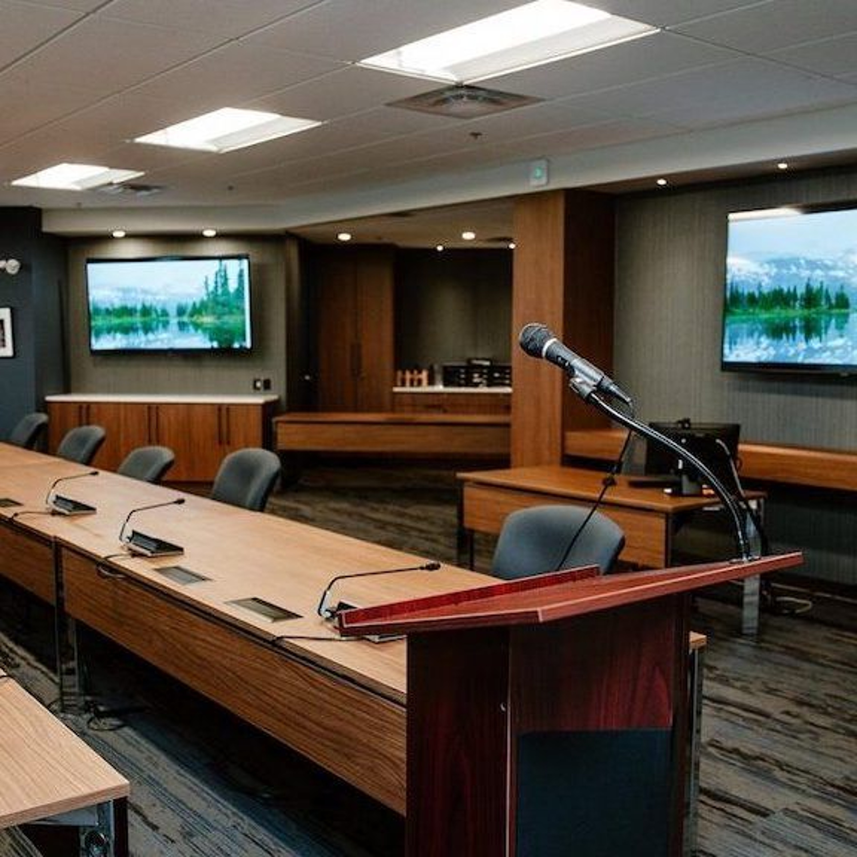 Carrie Saxifrage's Cimate Mitigation Presentation to the SRD Board