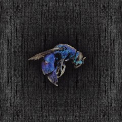 Kohra, SHFT - Aerodynamics