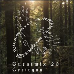 Guestmix_20_Cericyan