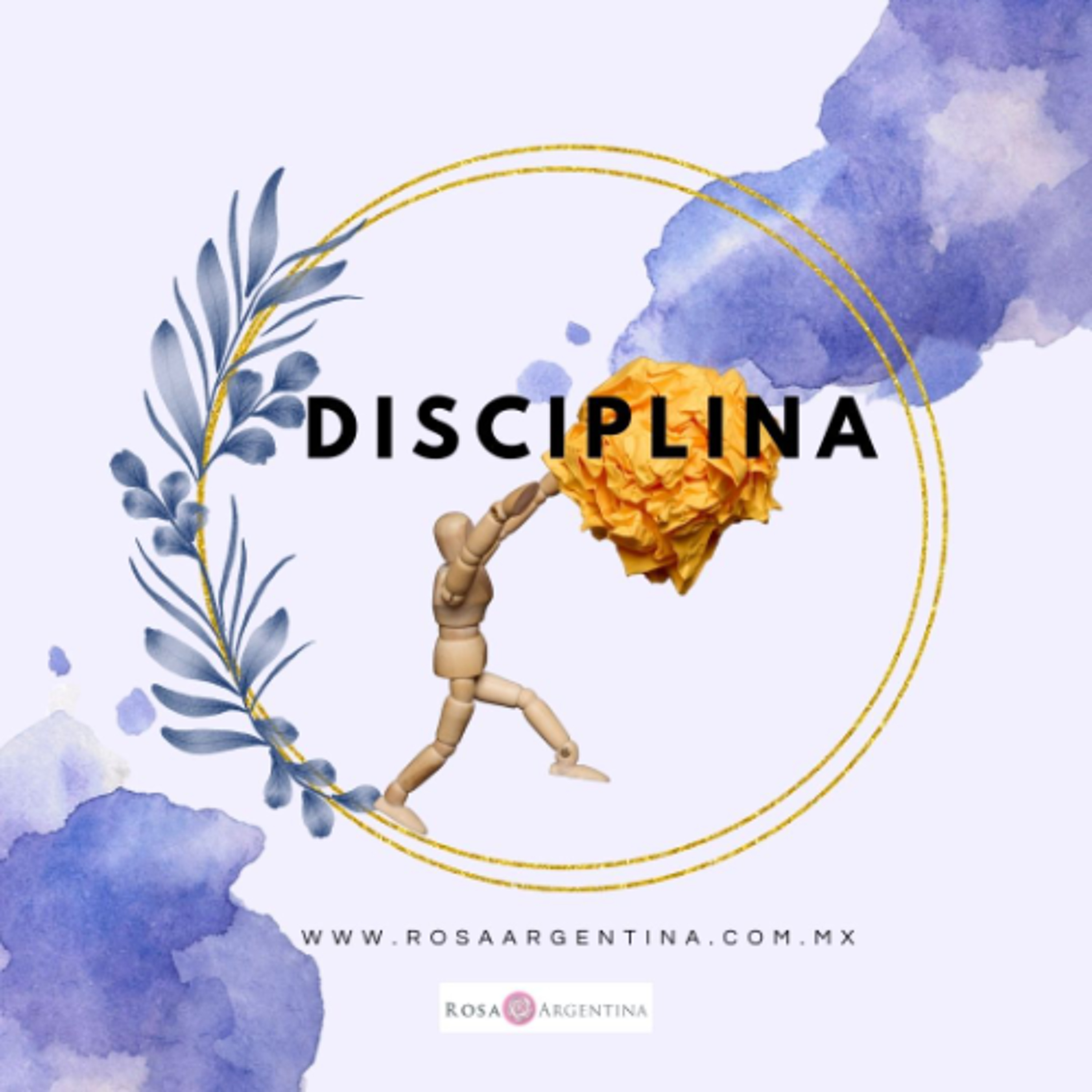 DISCIPLINA