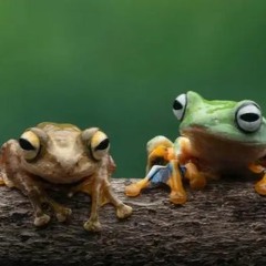 elijxhwtf - sick (cdg)