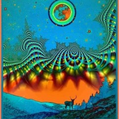 LUNAR 01