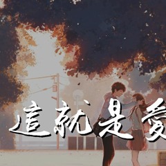 张小伙 & 粥粥zxr - 这就是爱情【動態歌詞/Lyrics Video】