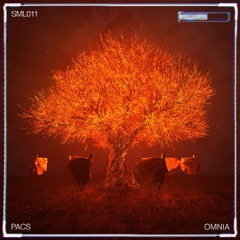 PACS - Omnia