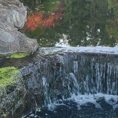 cut deep - matt maeson