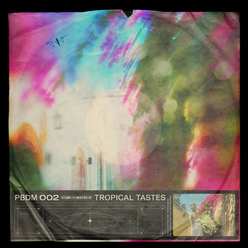 Paul Bashin & Dark Manoeuvres - Tropical Tastes | FREEDL