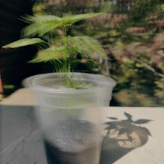 jalapeño (feat. Ken Kino & Sleepi)