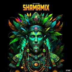 Vegas & Gottinari - Shamamix