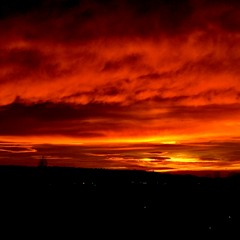 Bambus - Red Sun in the Sky