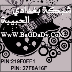وسام المهندس ماريدك