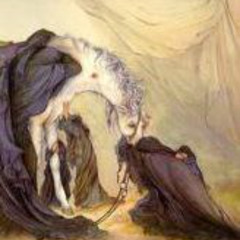 ذوالجناح