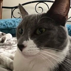 Estiva & Cardinal Feat Arielle Marren - Wait For You (Eddie Genita Remix) 2nd Redo