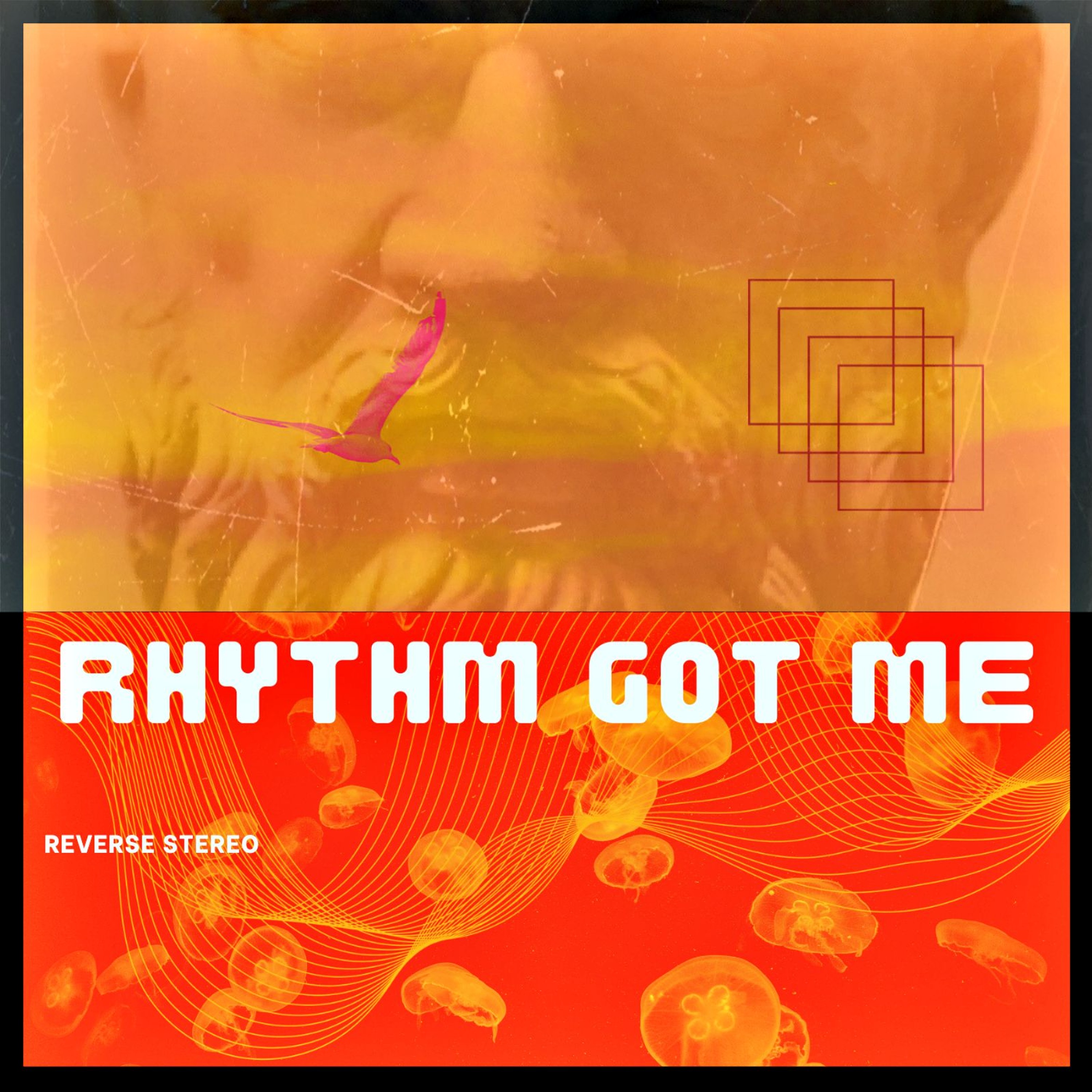Rhythm Got Me episode artwork