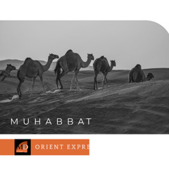 Muhabbat - Mr Deeper