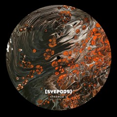 DS Premiere: Hyden - I Know It's Me You Want [SYEP009]