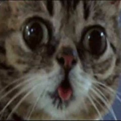 Dreamy trap by @majtavcar(insta go follow).