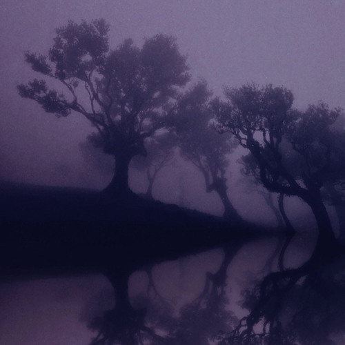 Forest - $hinji x Yung Bochin