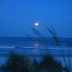 YOU AREN'T GOD (prod. fiftyzeros)