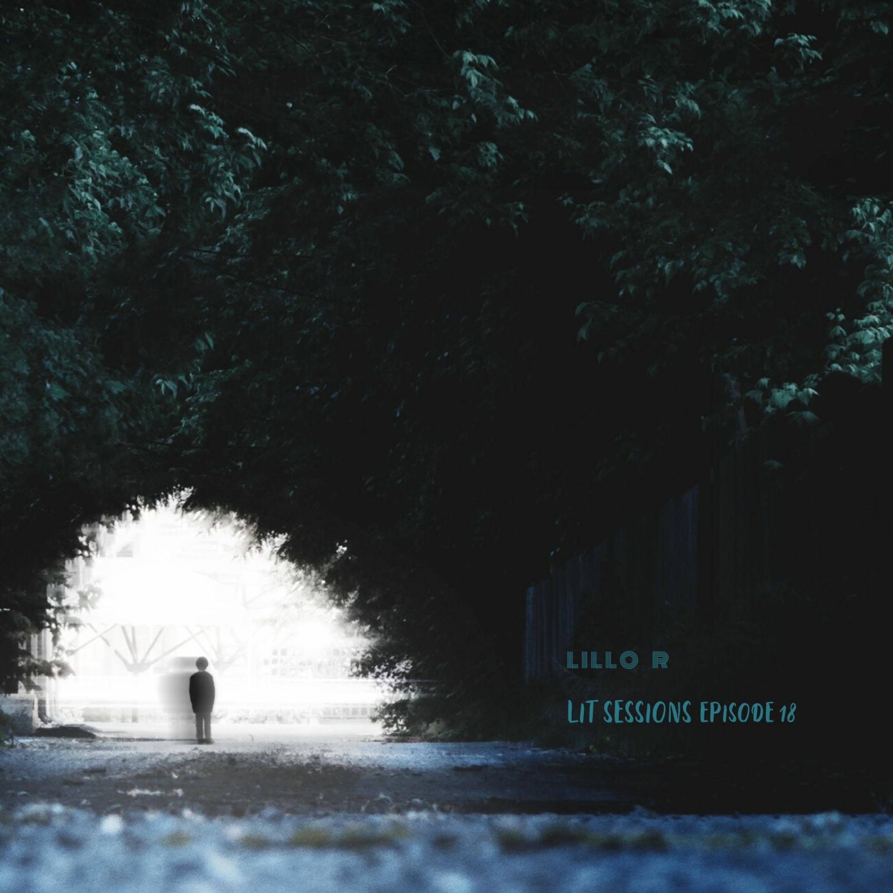 Lit Sessions # 18 Deep
