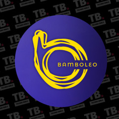 TB Premiere: Neverdogs - Technology (Guti Remix) [Bamboleo Records]
