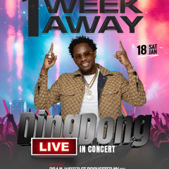 DING DONG PROMO MIX