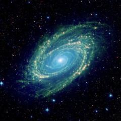 TSSP 20.5 : Eta Lyrae