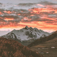Falling Leaves at Twilight
