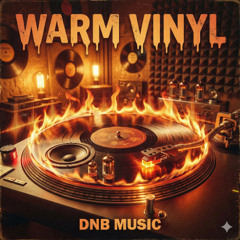 Warm Vinyl - DnB Music | Instrumental EDM | CCBY - FreeDL