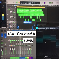 Can You Feel It  / Mr Fingers  cover song