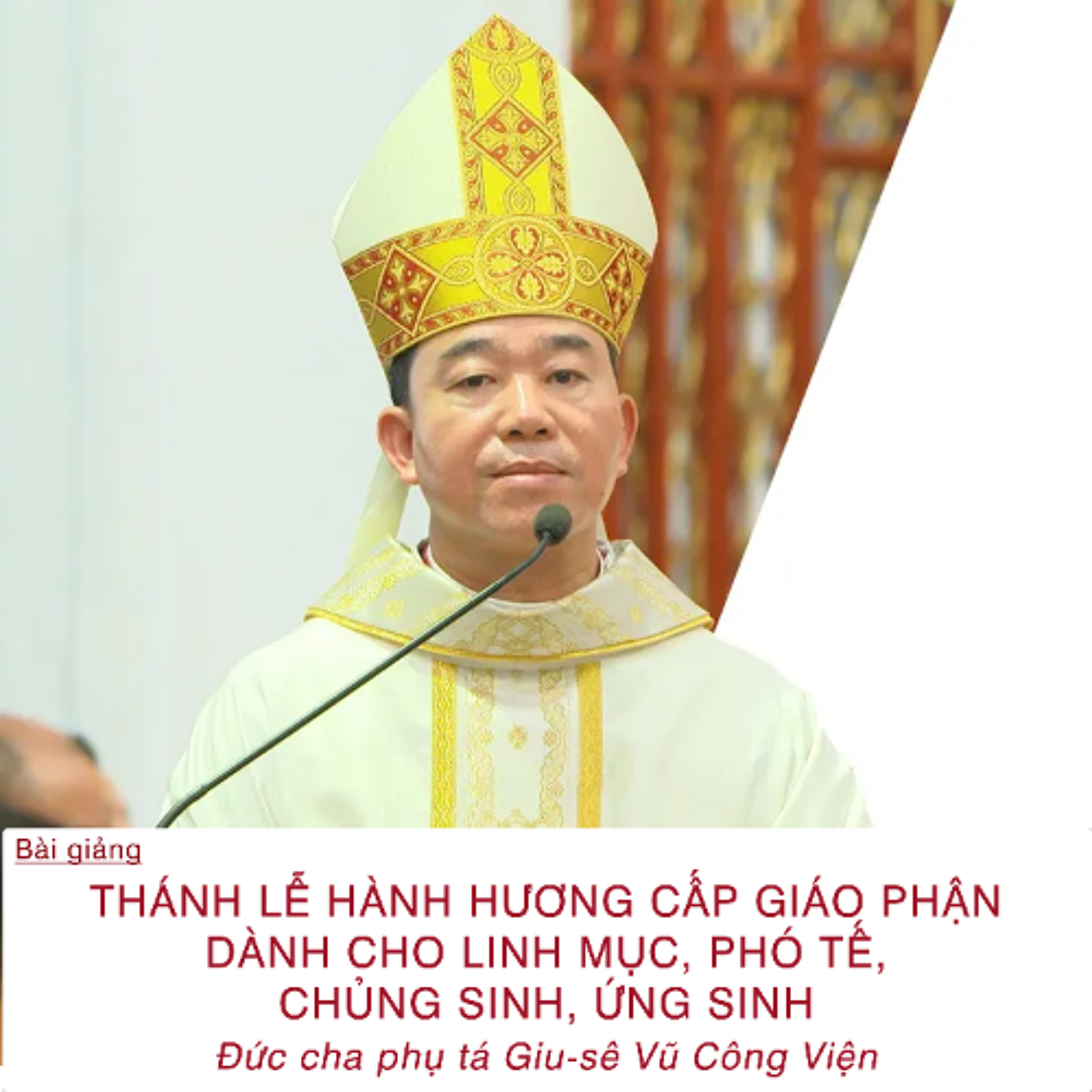 [BÀI GIẢNG] Thánh lễ hành hương cấp giáo phận - Dành cho Linh mục, Phó tế, Chủng sinh, Ứng sinh_1 episode artwork
