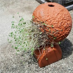 Bluegrass Emergency 12 and 35