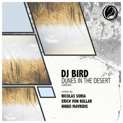 Dj Bird - Dunes in the Desert (Nikko Mavridis Remix) [Consapevole Recordings]