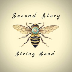 Second Story String Band - Wolves Away (Uncle Lucius Cover).mp3