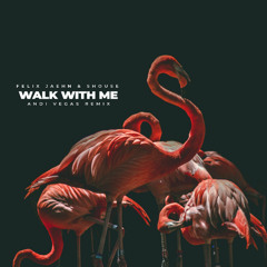 Felix Jaehn & Shouse - Walk With Me (ANDi VEGAS Remix)