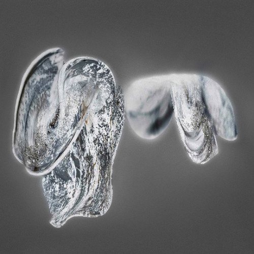 Kontinum - Somersloop [127DIG002]