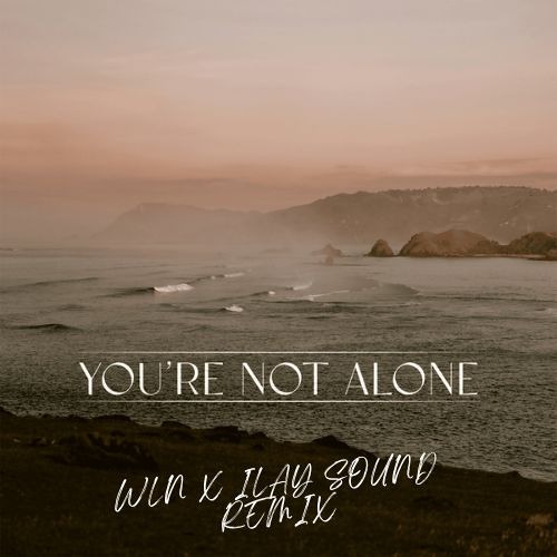 Punctual, RY X - You're not alone (WLN x ILAY SOUND Remix)