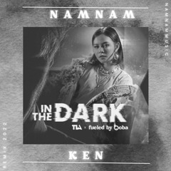 | FREE DOWNLOAD | NAMNAM FT KEN - IN THE DARK REMIX 2022 |