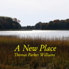 a-new-place