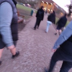 Goose chase