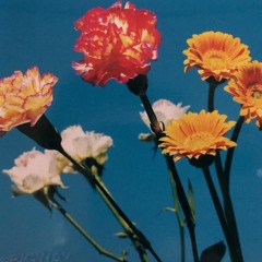 TheBIGWAY 話の跡ダイジェスト