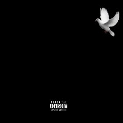 So Fly Freestyle