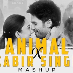 Animal X Kabir Singh Mashup