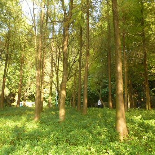 The Early Bird Show w/ Bitter Babe 041125