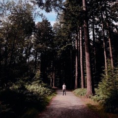 SNF Mix 001 // Swoose