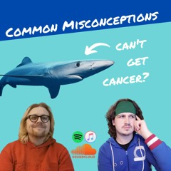 Episode 39 - Common Misconceptions