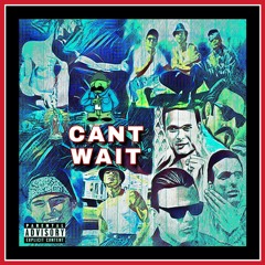 Can't Wait
