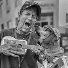 jimmie's five penny sunshine box - pretty crazy show