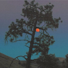 Better When You're Gone - Tanis Lovell