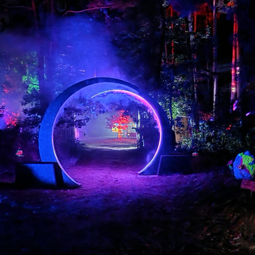 BerndBraatz@DeepForest2025@TechnoTipi