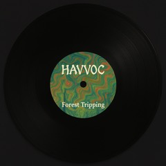 havvoc - forest tripping / free download